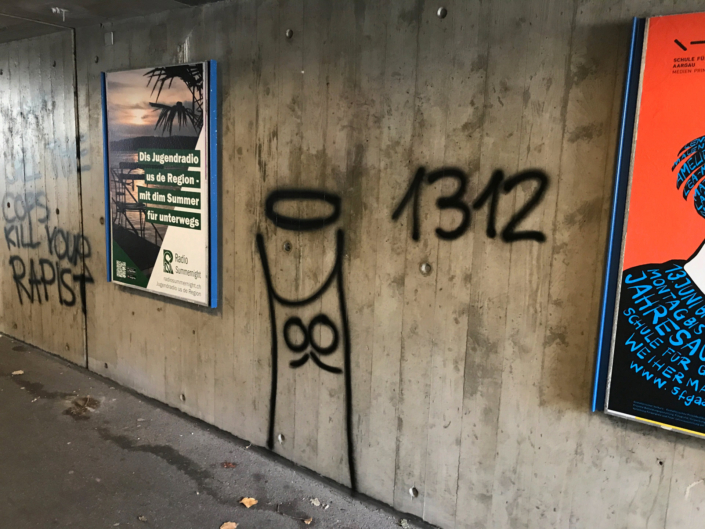 Autonome Linksfaschisten und Anhänger der Juso, der Jungen Grünen und der SP terrorisieren seit Jahren die Stadt Aarau mit illegalen Aktionen und Sprayereien.