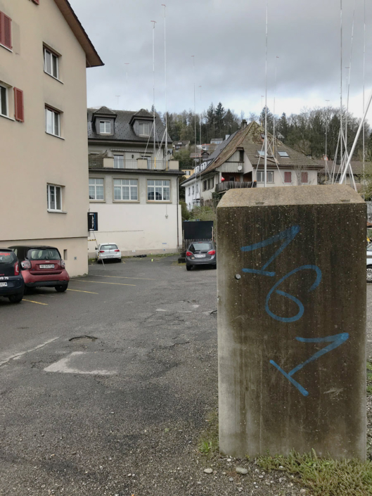 Autonome Linksfaschisten und Anhänger der Juso, der Jungen Grünen und der SP terrorisieren seit Jahren die Stadt Aarau mit illegalen Aktionen und Sprayereien.