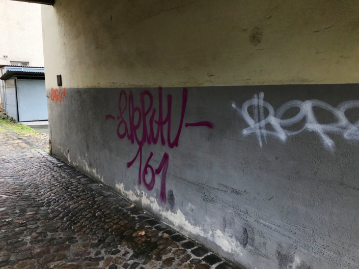 Autonome Linksfaschisten der Juso und der SP terrorisieren seit Jahren die Stadt Aarau mit illegalen Aktionen und Sprayereien.