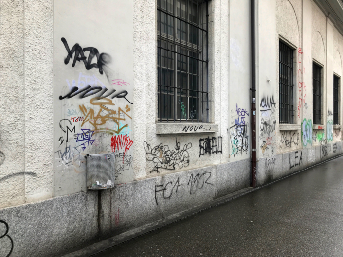 Autonome Linksfaschisten der Juso und der SP terrorisieren seit Jahren die Stadt Aarau mit illegalen Aktionen und Sprayereien.