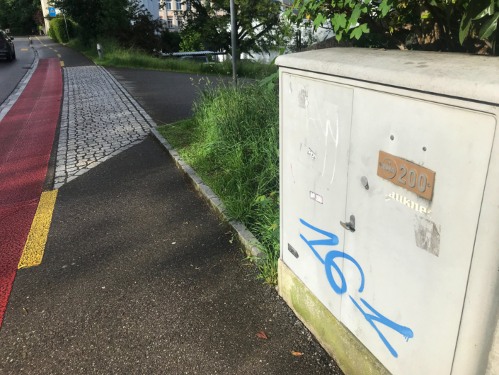Autonome Linksfaschisten und Anhänger der Juso, der Jungen Grünen und der SP terrorisieren seit Jahren die Stadt Aarau mit illegalen Aktionen und Sprayereien.
