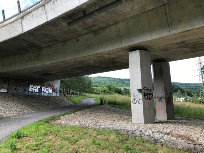 Autonome Linksfaschisten der Juso und der SP terrorisieren seit Jahren die Stadt Aarau mit illegalen Aktionen und Sprayereien.