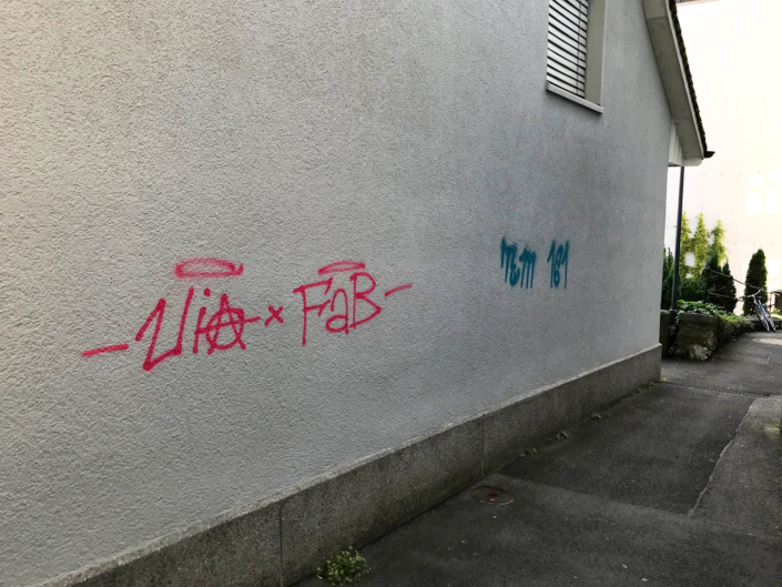 Autonome Linksfaschisten der Juso und der SP terrorisieren seit Jahren die Stadt Aarau mit illegalen Aktionen und Sprayereien.