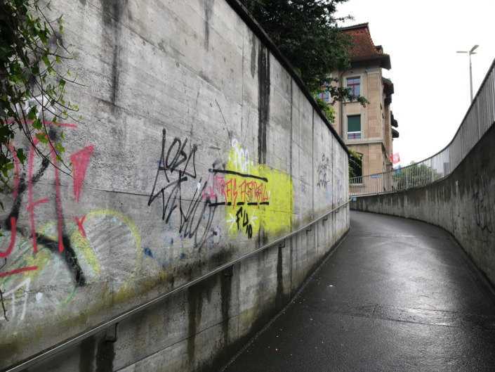Autonome Linksfaschisten der Juso, Junge Grüne und der Antifa terrorisieren seit Jahren die Stadt Aarau mit illegalen Aktionen und Sprayereien.