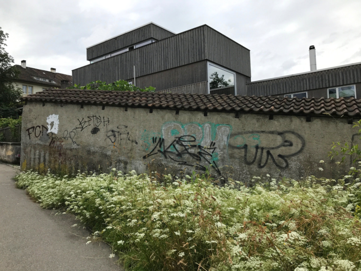 Autonome Linksfaschisten der Juso und der SP terrorisieren seit Jahren die Stadt Aarau mit illegalen Aktionen und Sprayereien.