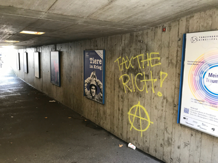 Autonome Linksfaschisten, Anhänger der Juso, Jungen Grünen und der SP terrorisieren seit Jahren die Stadt Aarau mit illegalen Aktionen und Sprayereien. Die Stadt Aarau leidet darunter. Die Stadt Aarau.