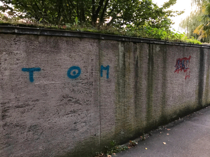 Autonome Linksfaschisten, Anhänger der Juso, Jungen Grünen und der SP terrorisieren seit Jahren die Stadt Aarau mit illegalen Aktionen und Sprayereien. Die Stadt Aarau leidet darunter. Die Stadt Aarau.