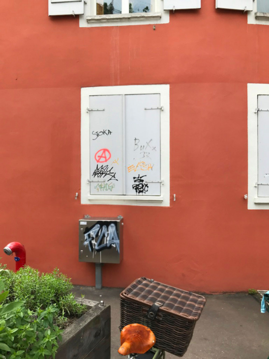 Autonome Linksfaschisten der Juso, Junge Grüne und der Antifa terrorisieren seit Jahren die Stadt Aarau mit illegalen Aktionen und Sprayereien.