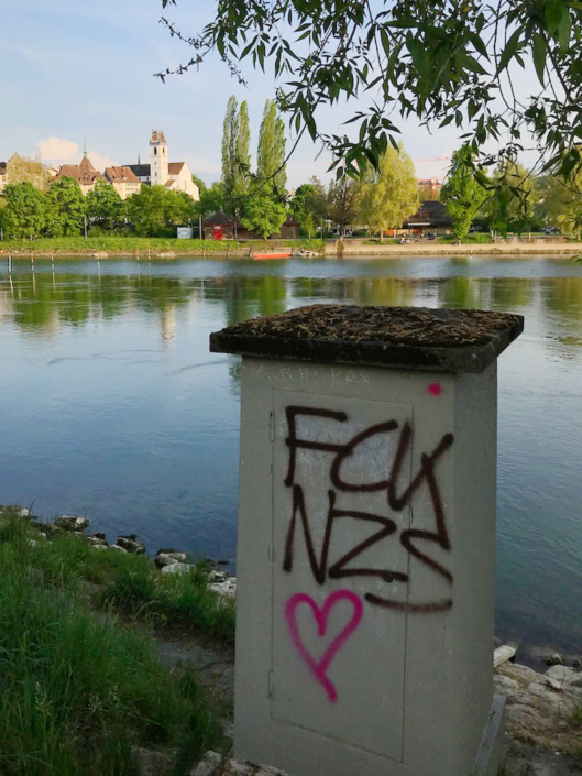 Autonome Linksfaschisten der Juso, Junge Grüne und der Antifa terrorisieren seit Jahren die Stadt Aarau mit illegalen Aktionen und Sprayereien.